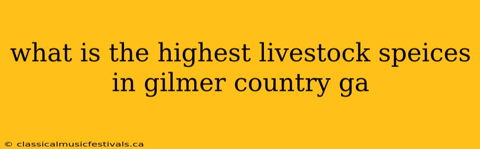 what is the highest livestock speices in gilmer country ga