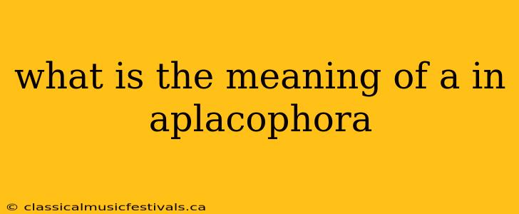 what is the meaning of a in aplacophora