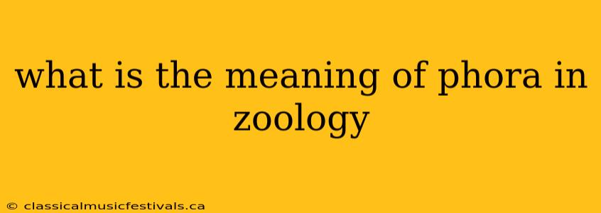 what is the meaning of phora in zoology