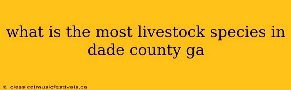 what is the most livestock species in dade county ga