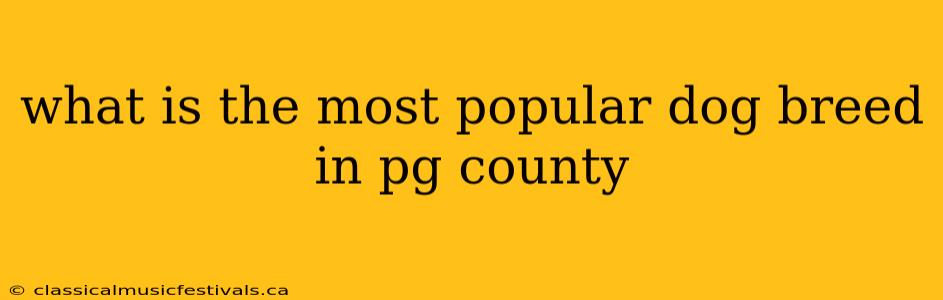 what is the most popular dog breed in pg county