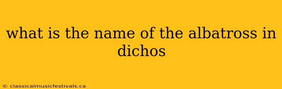 what is the name of the albatross in dichos