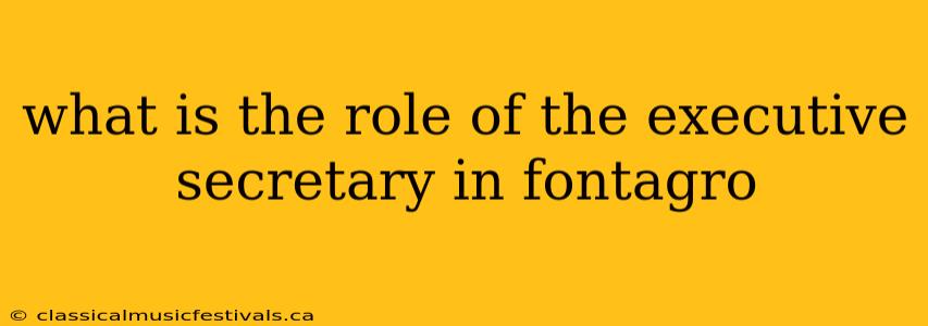 what is the role of the executive secretary in fontagro