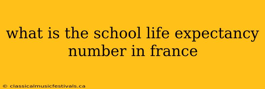 what is the school life expectancy number in france