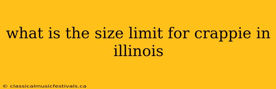 what is the size limit for crappie in illinois