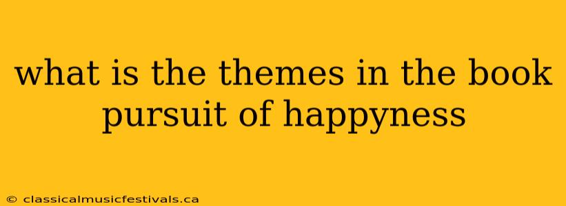 what is the themes in the book pursuit of happyness