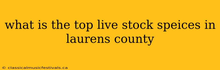 what is the top live stock speices in laurens county