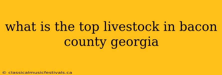 what is the top livestock in bacon county georgia