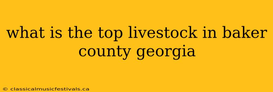 what is the top livestock in baker county georgia