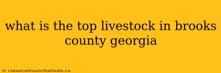 what is the top livestock in brooks county georgia