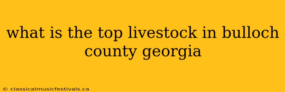 what is the top livestock in bulloch county georgia