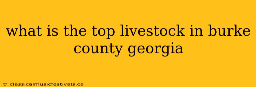 what is the top livestock in burke county georgia