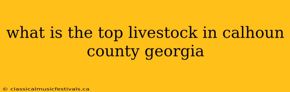 what is the top livestock in calhoun county georgia