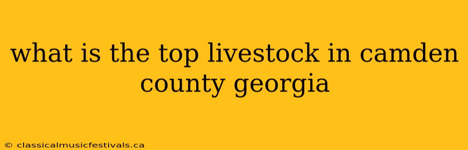 what is the top livestock in camden county georgia