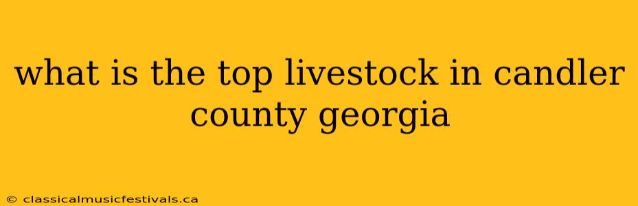 what is the top livestock in candler county georgia