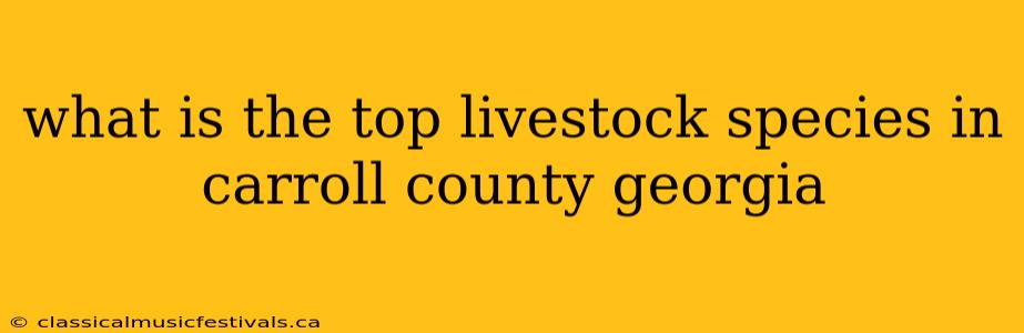 what is the top livestock species in carroll county georgia