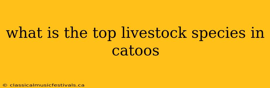 what is the top livestock species in catoos