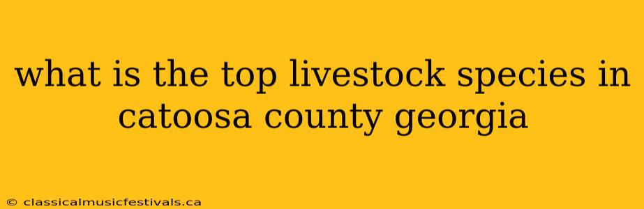 what is the top livestock species in catoosa county georgia