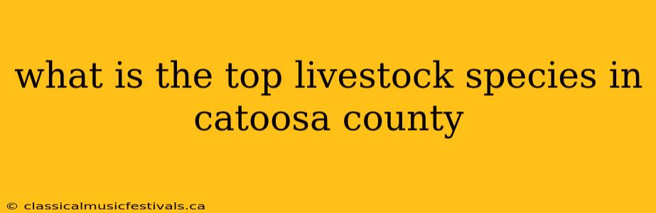 what is the top livestock species in catoosa county