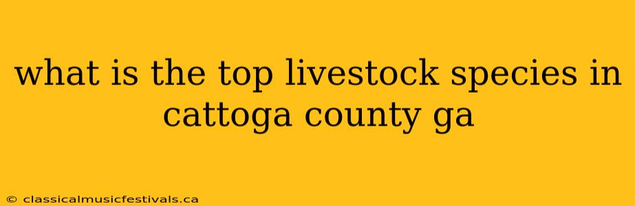 what is the top livestock species in cattoga county ga