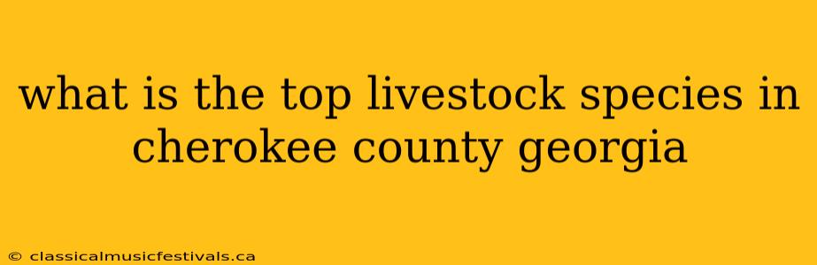 what is the top livestock species in cherokee county georgia