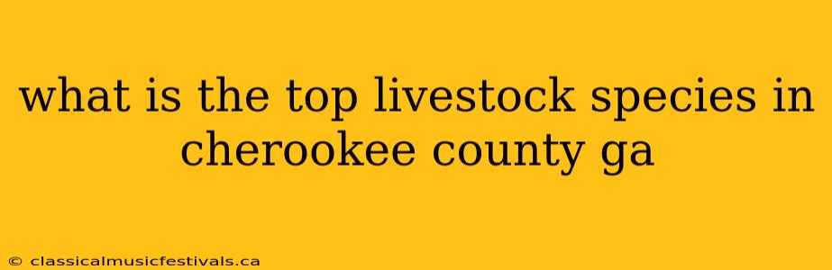 what is the top livestock species in cherookee county ga