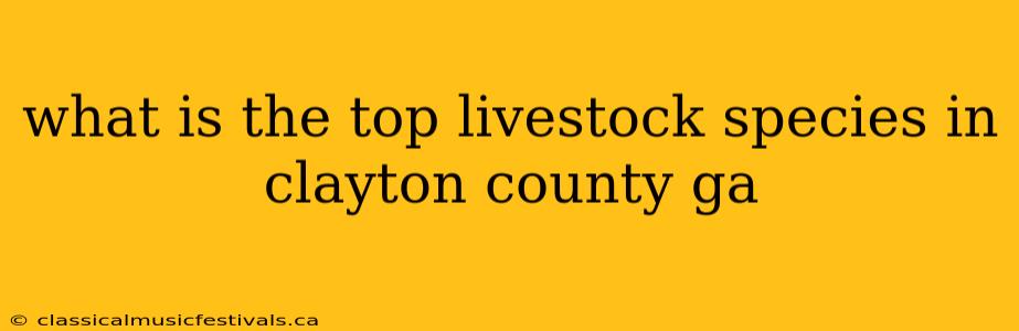 what is the top livestock species in clayton county ga