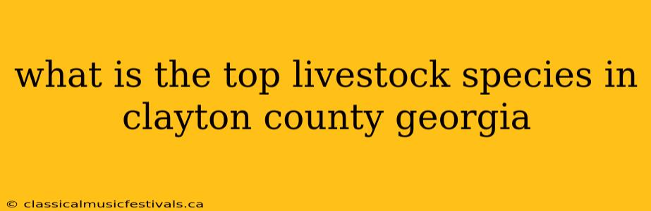 what is the top livestock species in clayton county georgia