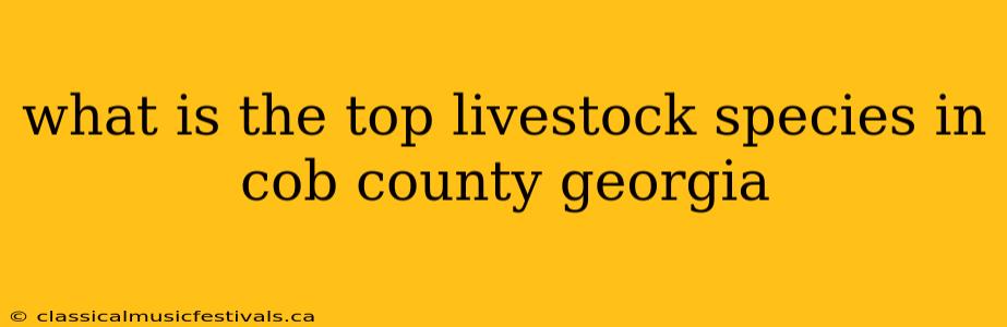 what is the top livestock species in cob county georgia