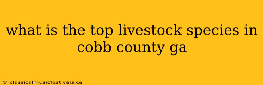 what is the top livestock species in cobb county ga