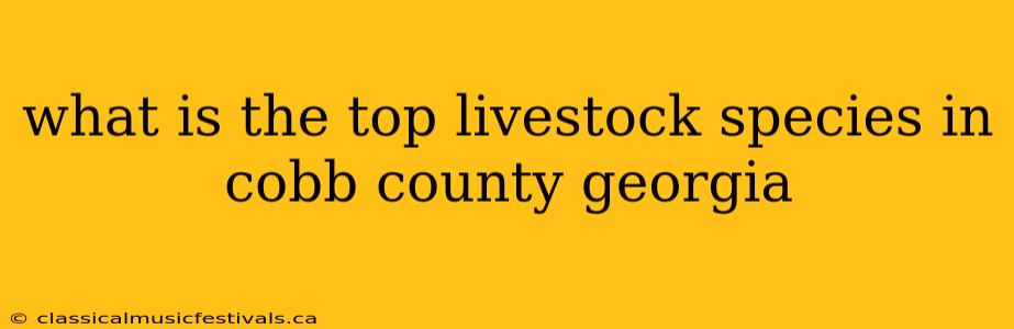 what is the top livestock species in cobb county georgia