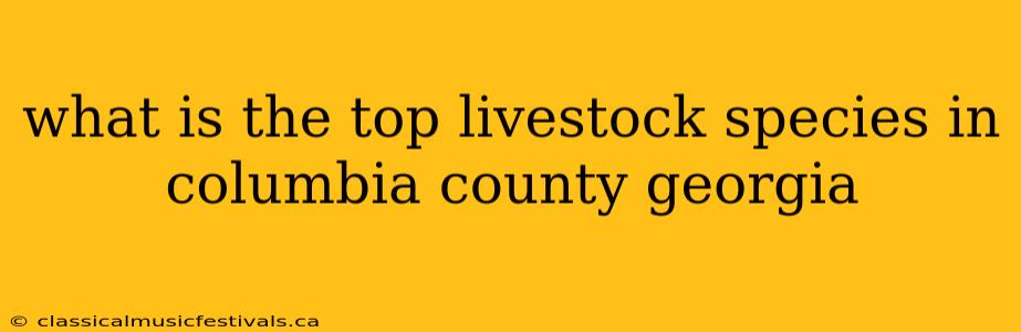 what is the top livestock species in columbia county georgia