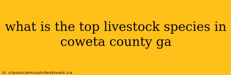 what is the top livestock species in coweta county ga