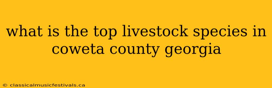 what is the top livestock species in coweta county georgia