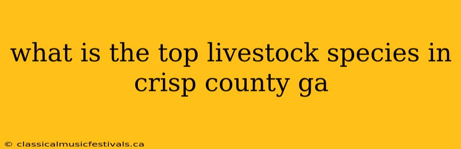 what is the top livestock species in crisp county ga