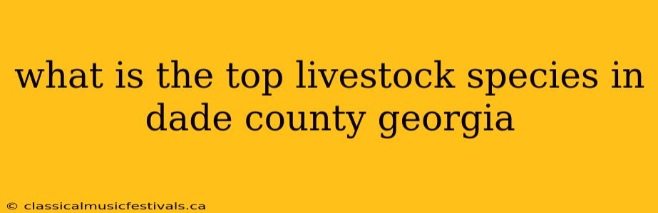 what is the top livestock species in dade county georgia