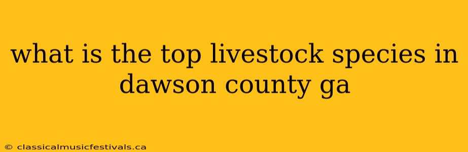 what is the top livestock species in dawson county ga