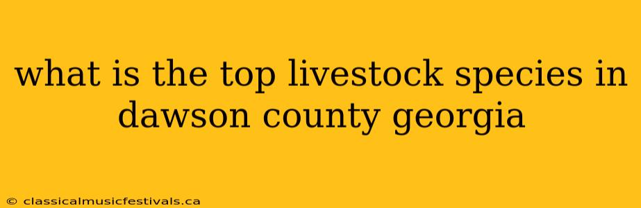 what is the top livestock species in dawson county georgia