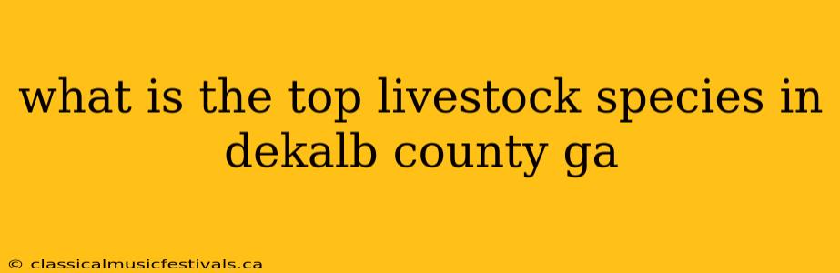 what is the top livestock species in dekalb county ga