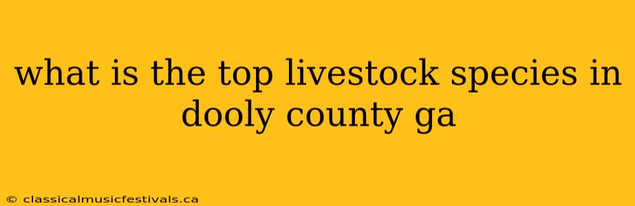 what is the top livestock species in dooly county ga