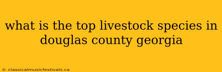 what is the top livestock species in douglas county georgia