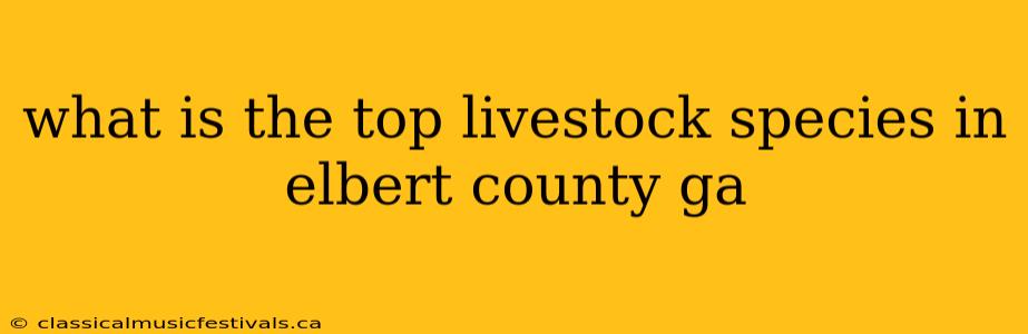 what is the top livestock species in elbert county ga