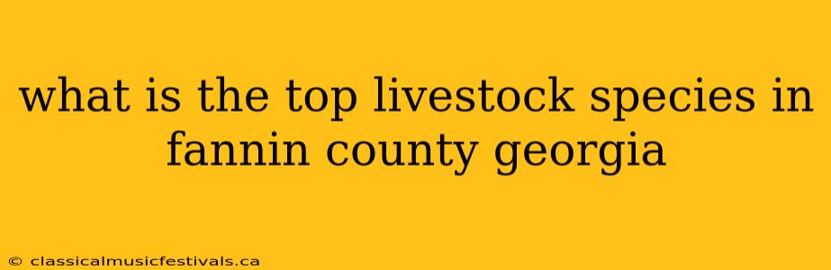 what is the top livestock species in fannin county georgia