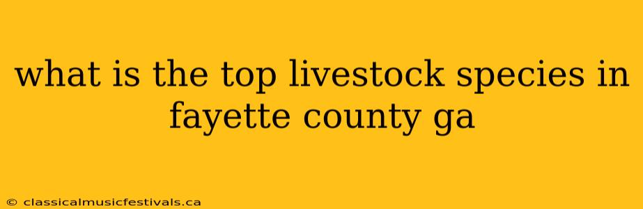 what is the top livestock species in fayette county ga