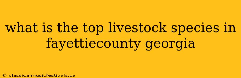 what is the top livestock species in fayettiecounty georgia