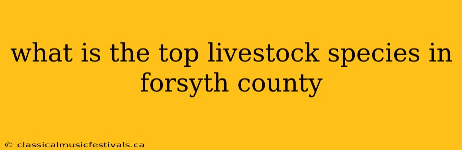 what is the top livestock species in forsyth county