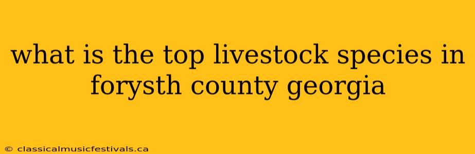 what is the top livestock species in forysth county georgia