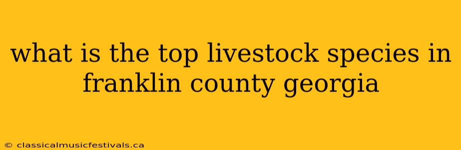 what is the top livestock species in franklin county georgia