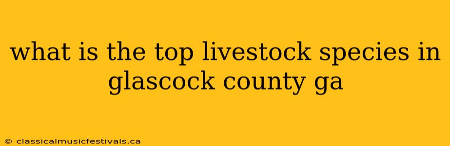 what is the top livestock species in glascock county ga