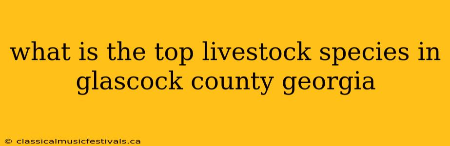 what is the top livestock species in glascock county georgia